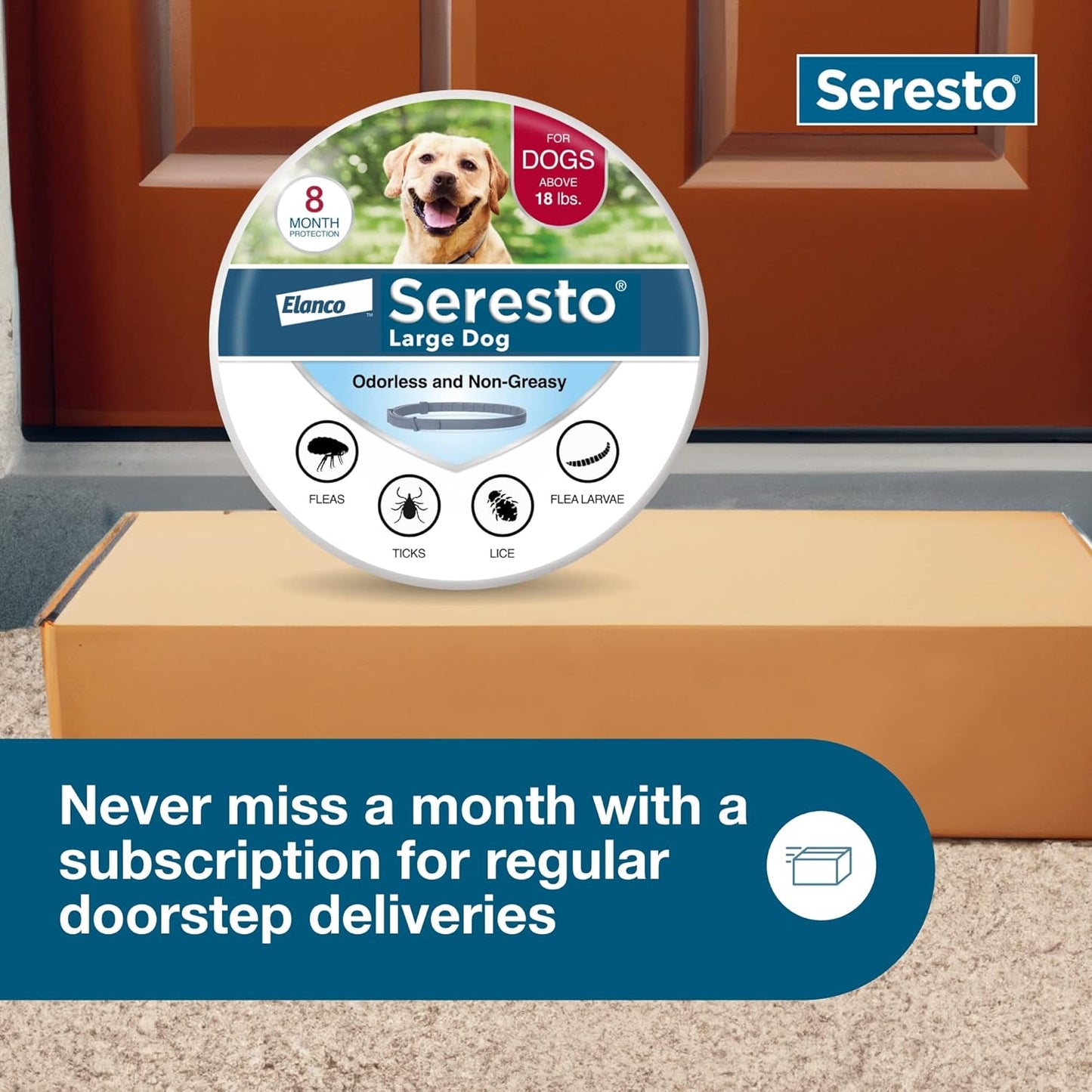 Summer Sale Seresto Flea and Tick Collar for Cats and Dogs Treatment & Prevention, Vet-Recommend, 8 Month Protection