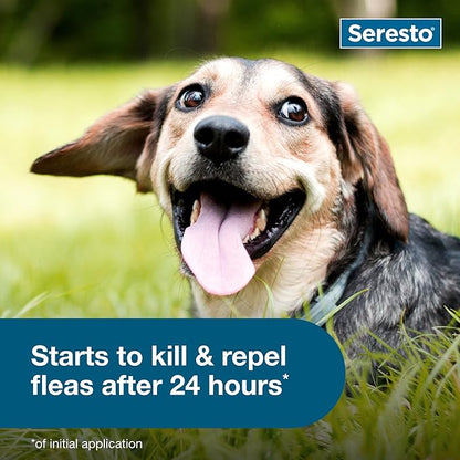 Summer Sale Seresto Flea and Tick Collar for Cats and Dogs Treatment & Prevention, Vet-Recommend, 8 Month Protection